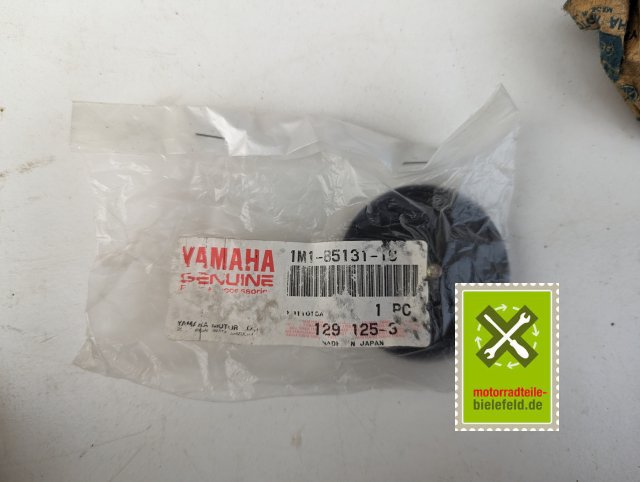 PXL_20240528_173556499